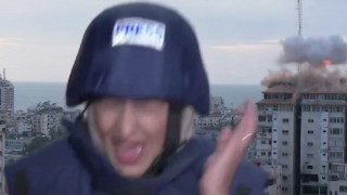 img8543_ZTzvM.jpeg